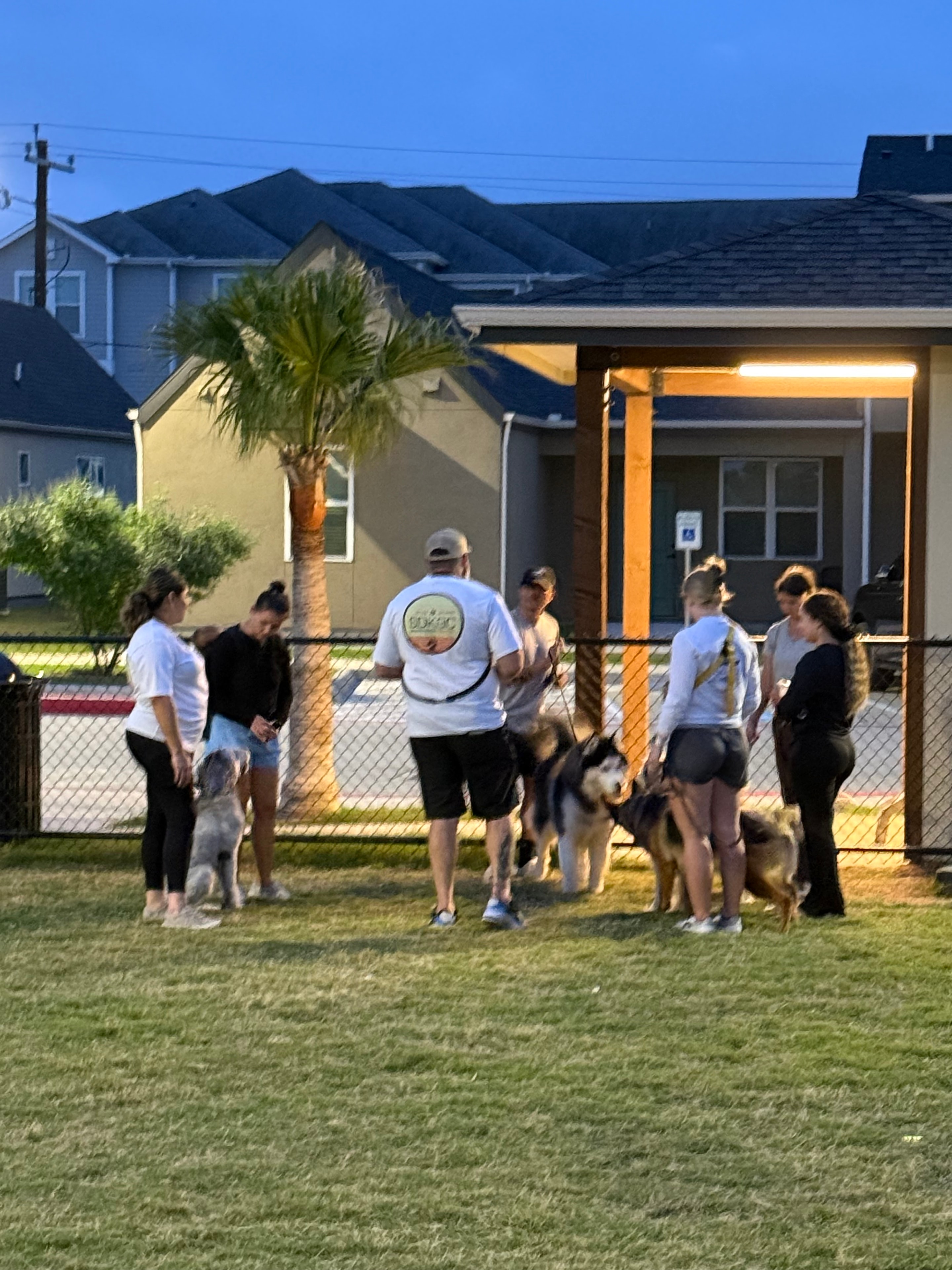 Group of handlers walking dogs together at dusk outside a home