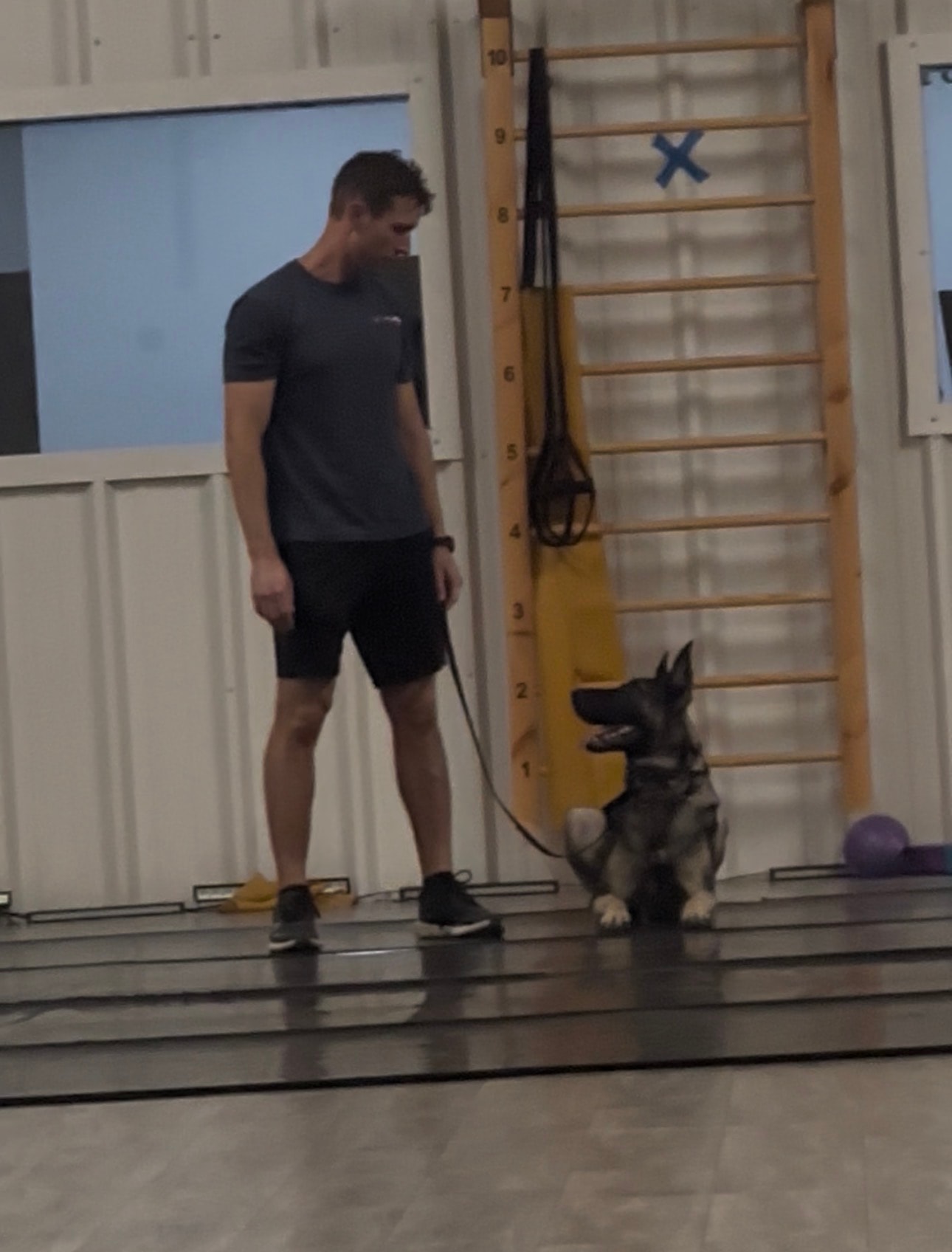 Handler standing beside German Shepherd sitting on a place board in an indoor gym
