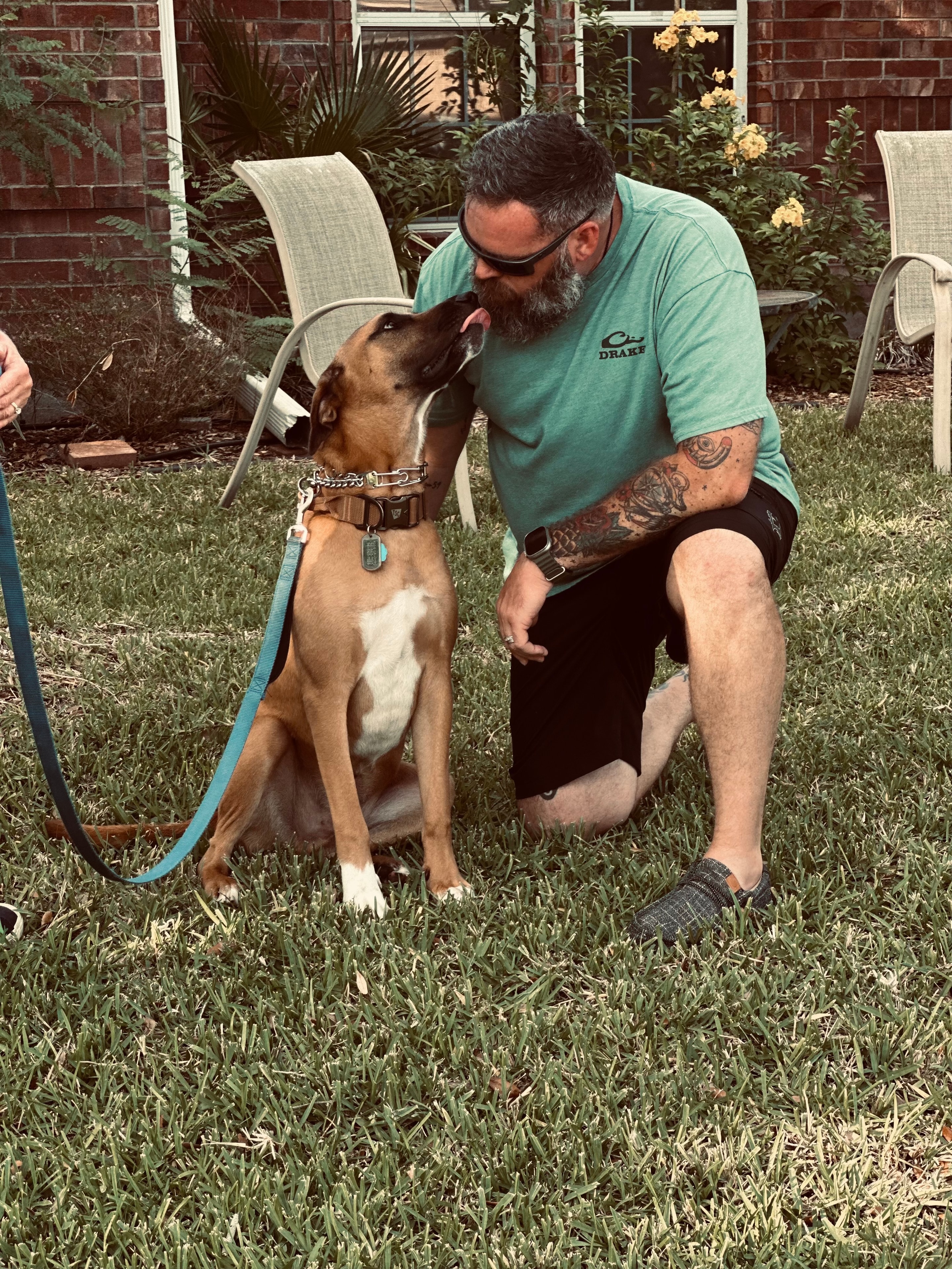 Handler kneeling in backyard as a Boxer gives a kiss during a training session