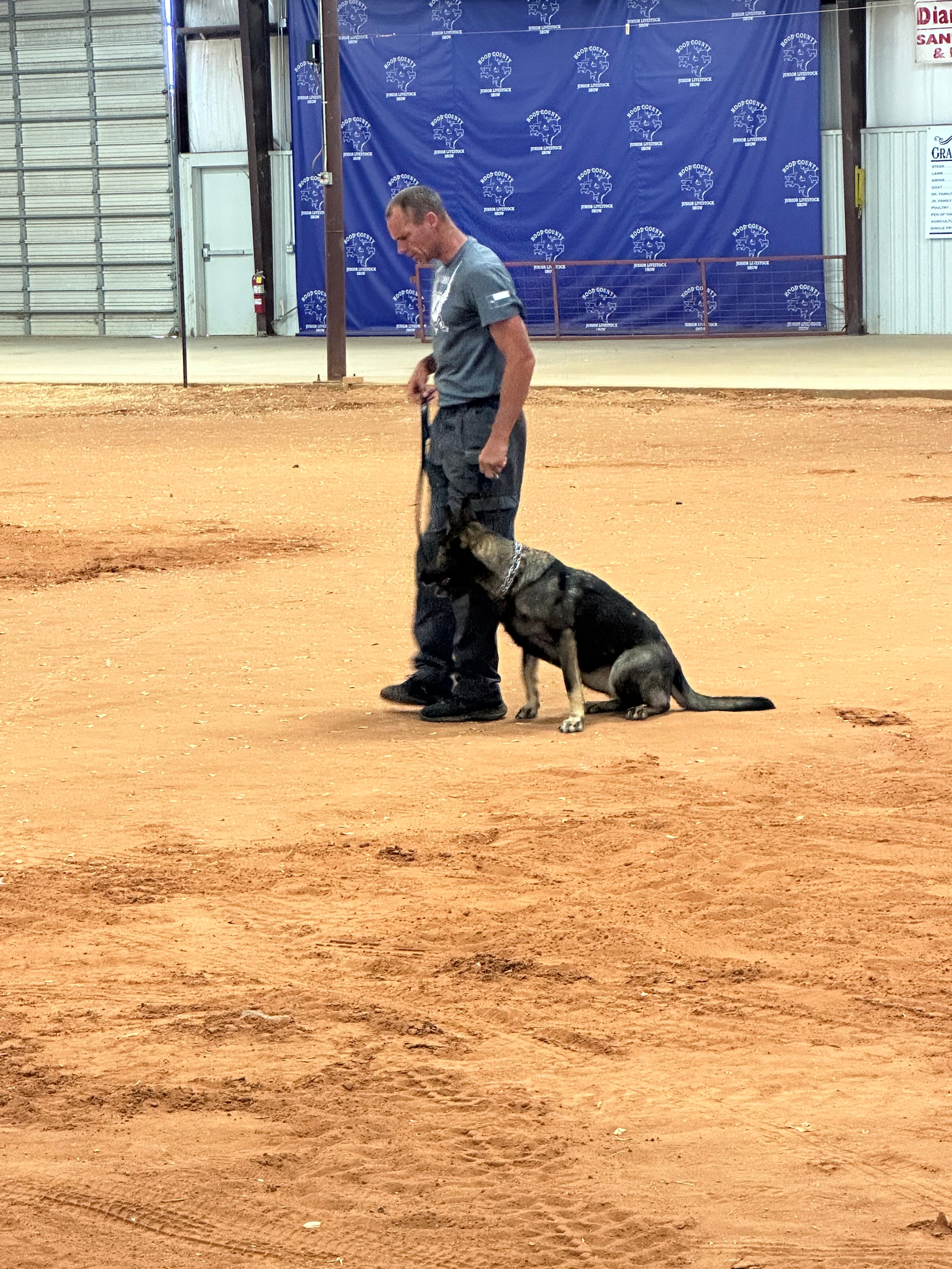 Handler working a GSD in a dirt arena with competition backdrop during training