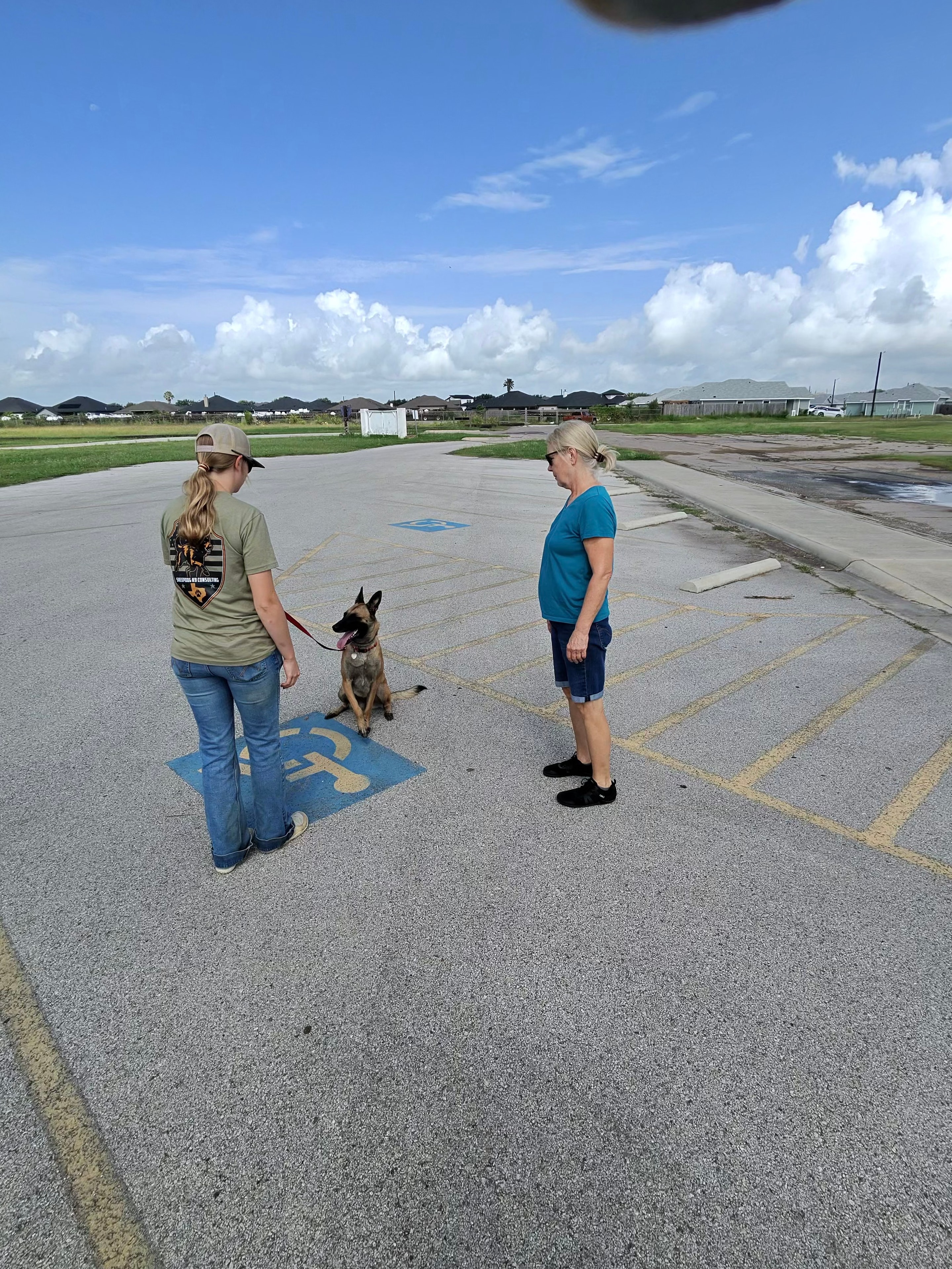 Two handlers working with a Belgian Malinois in a parking lot