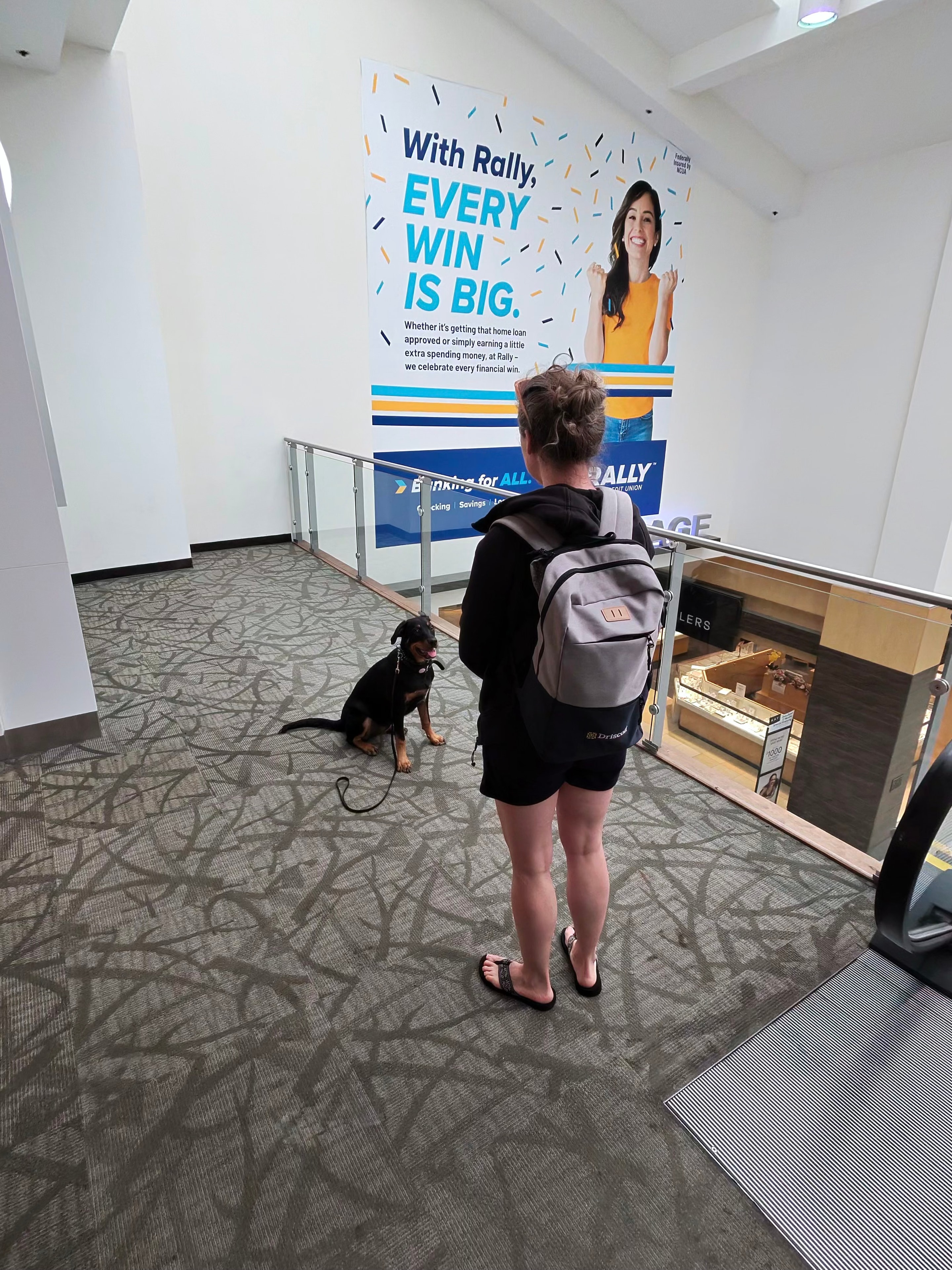 Rottweiler puppy sitting calmly inside mall near Rally credit union sign