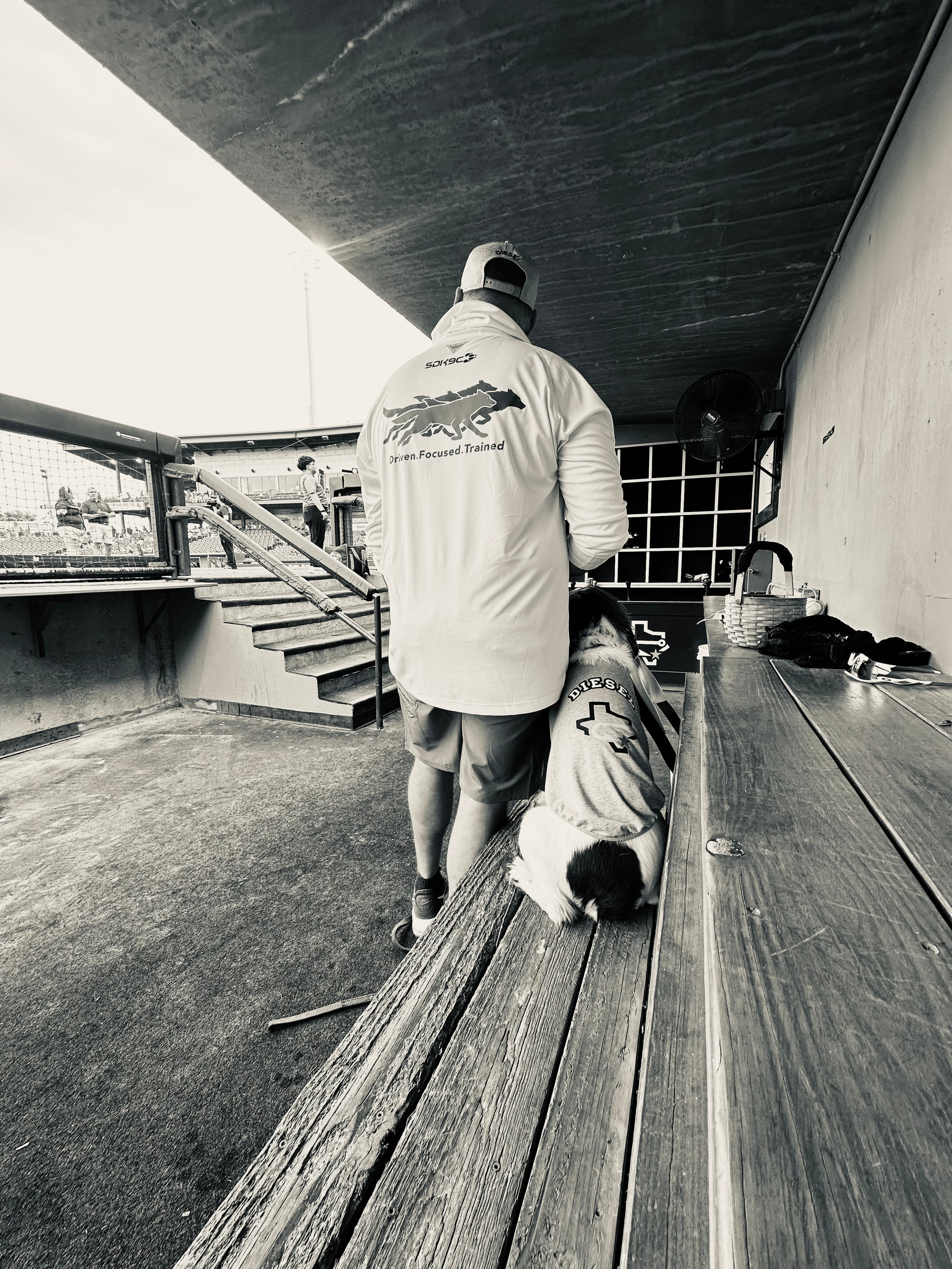 SDK9C handler in branded hoodie with dog Diesel in baseball stadium dugout